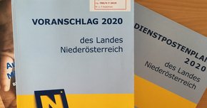 Haushaltsvoranschlag des Landes für das Jahr 2020