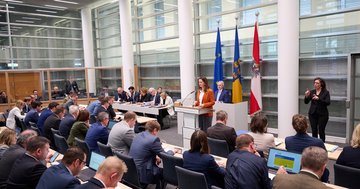 Großes Bild anzeigen