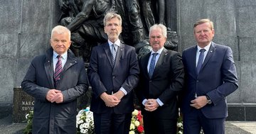 Großes Bild anzeigen